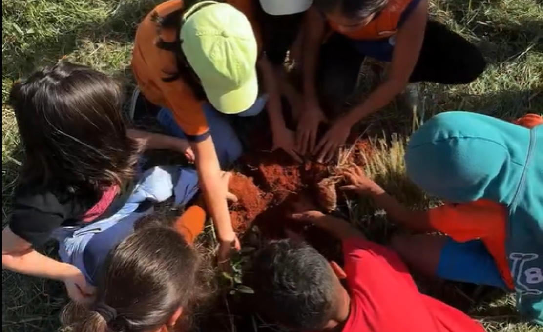 Cuidar do meio ambiente é compromisso de todos nós!