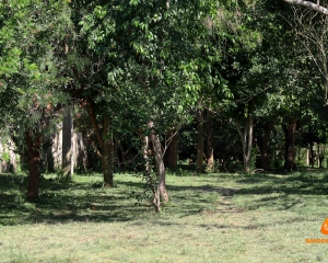01_(684).jpg