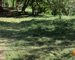 07_(172).jpg