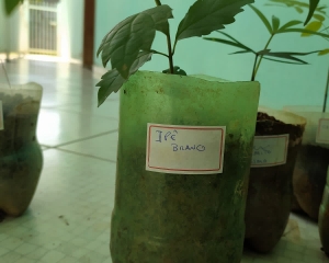 12_(222).jpg