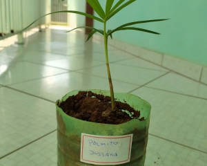 13_(303).jpg
