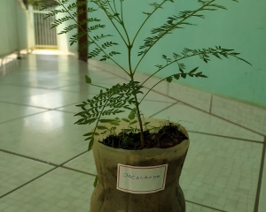 16_(326).jpg