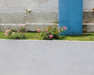 3989592636370290452659934580779268748784842n.jpg