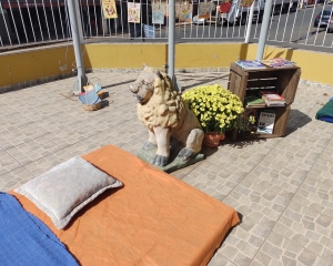 80_(435).jpg