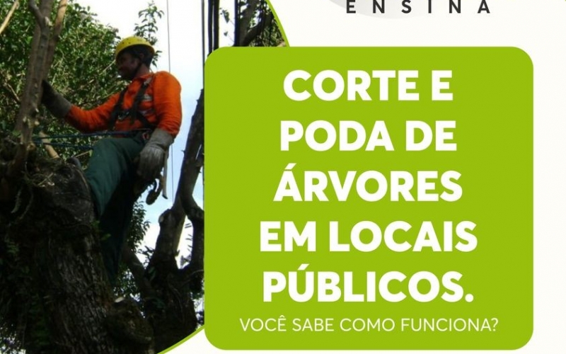 MEIO AMBIENTE ENSINA