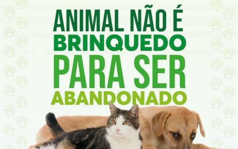 DEZEMBRO VERDE