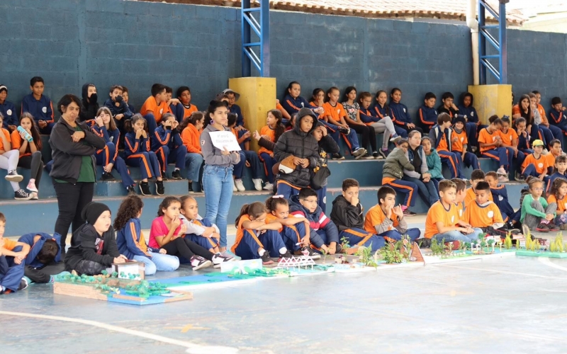 Educação e Meio Ambiente 