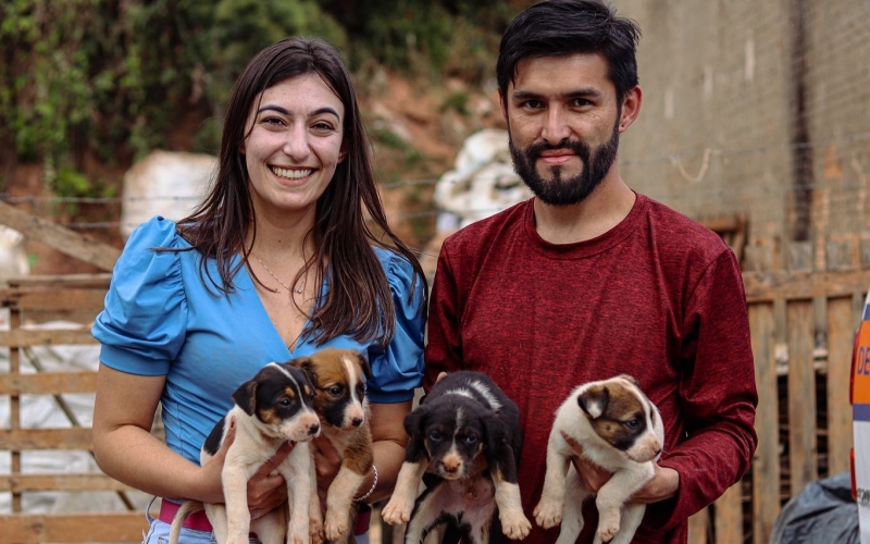 A Prefeitura Municipal em parceria com o grupo patinhas solidárias resgataram hoje 10 cãezinhos abandonados em um saco d