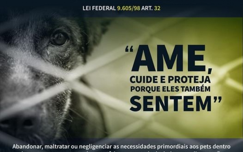 AGOSTO AMARELO! 