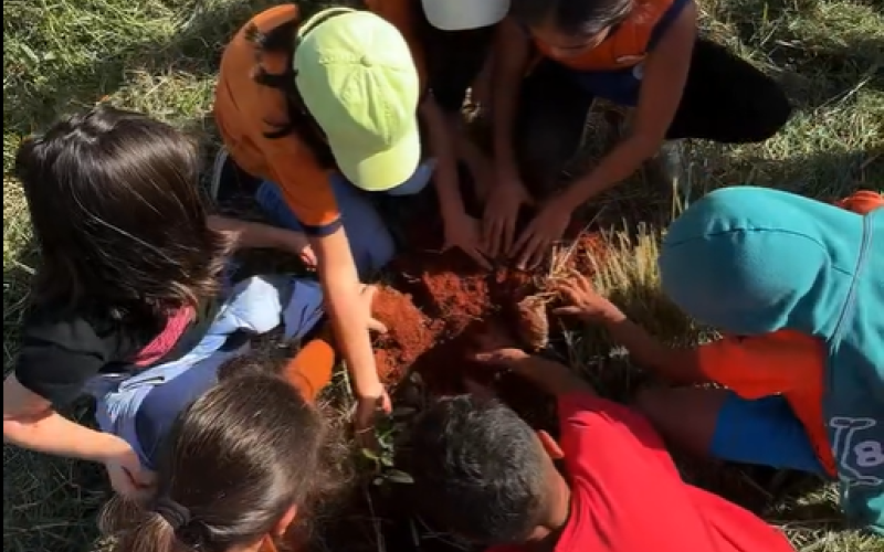 Cuidar do meio ambiente é compromisso de todos nós!