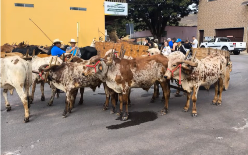 XVI Encontro de Carreiros