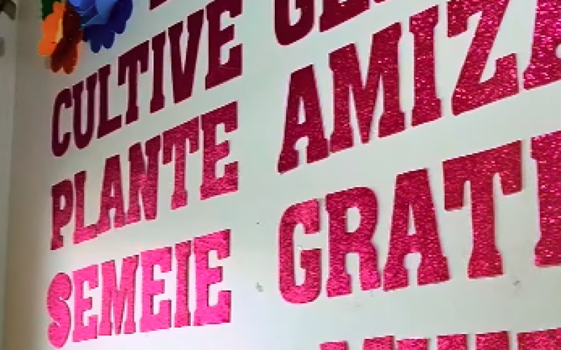 Projeto Primavera no CMEI Luiz Carlos Viana